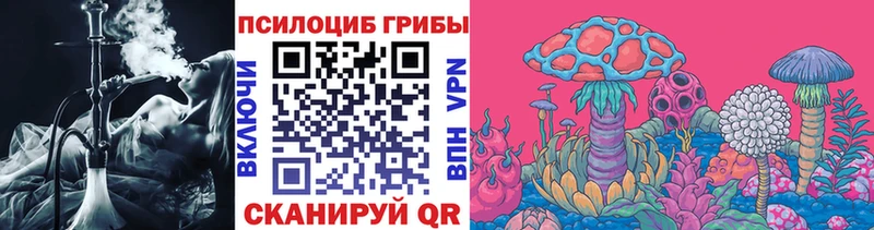 наркошоп  Выкса  Псилоцибиновые грибы Magic Shrooms 